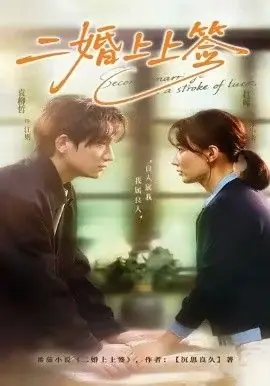 二婚上上签海报