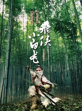 飞侠小白龙(国语)海报