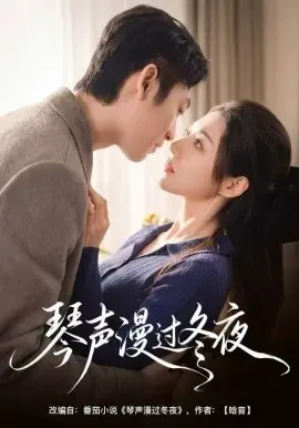 琴声漫过冬夜海报