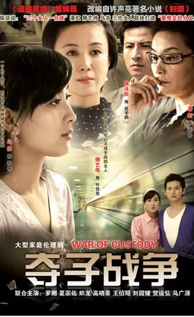 妇道之夺子战争海报