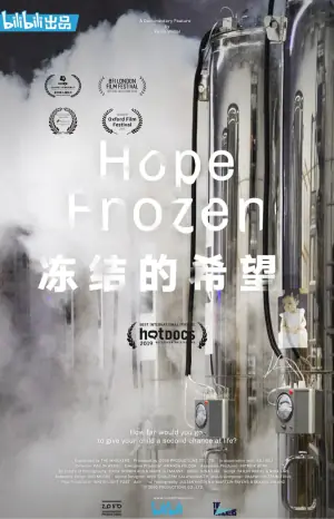 冻结的希望海报