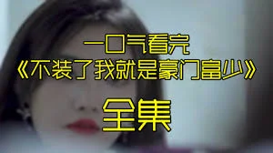 不装了我就是豪门富少海报