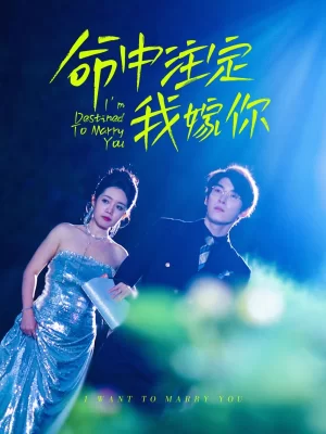 命中注定我嫁你海报