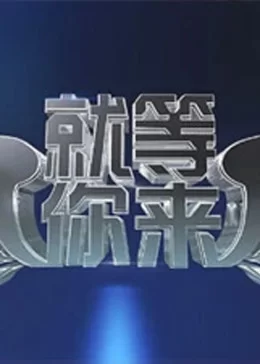 就等你来2012海报