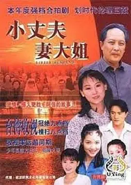 小丈夫妻大姐海报