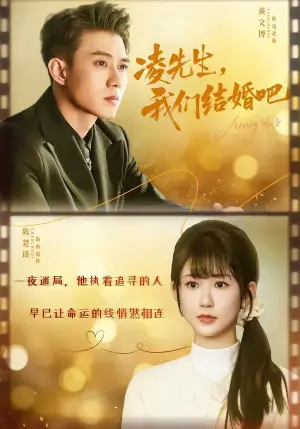 凌先生,我们结婚吧海报