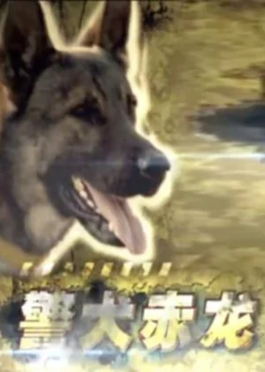 警犬赤龙海报