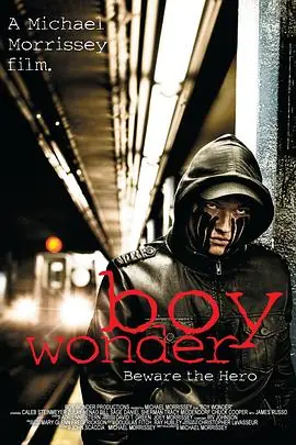 复仇少年BoyWonder海报