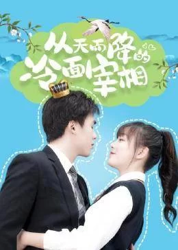 从天而降的冷面宰相海报