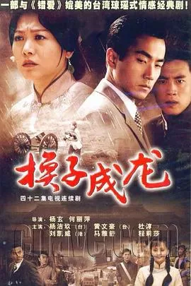 换子成龙[电影解说]海报