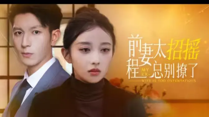 前妻太招摇,程总别撩了海报