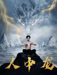 人中龙海报
