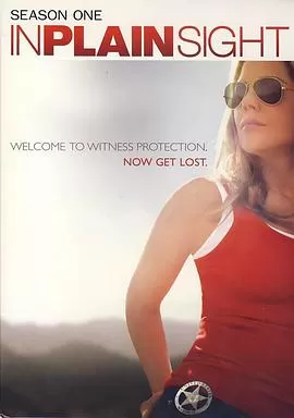 平地风云第一季海报