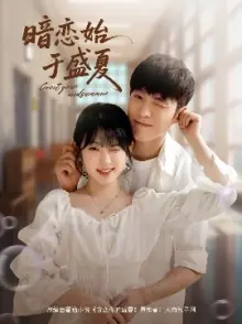 暗恋始于盛夏海报
