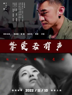 挚爱若有声海报