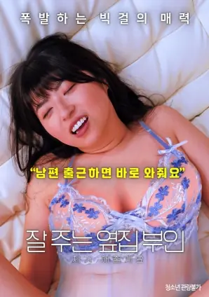 我会照顾好邻家老婆海报