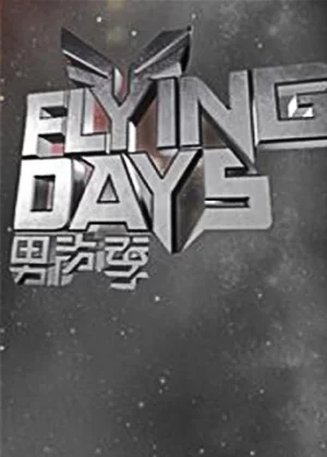 FlyingDays2010海报