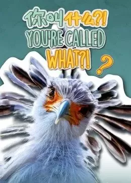 你叫什么?(英语)海报