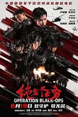 绝密任务海报
