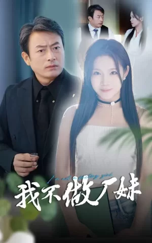 我不做厂妹海报