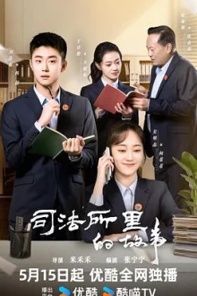 司法所的故事海报