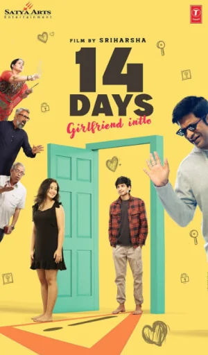 14天:国际女友海报