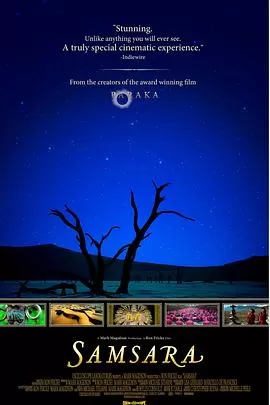 轮回[电影解说]海报