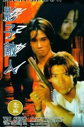 影子敌人(国语)海报