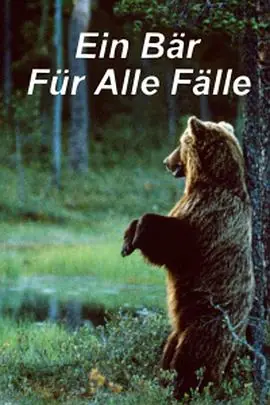 熊记EinBärfüralleFälle海报