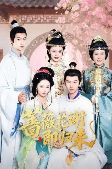 蔷薇花谢即归来海报