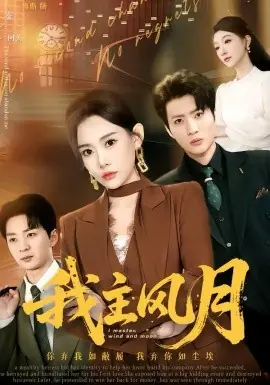 我主风月海报