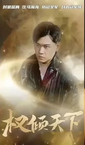 权倾天下海报