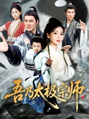 吾乃太极宗师海报