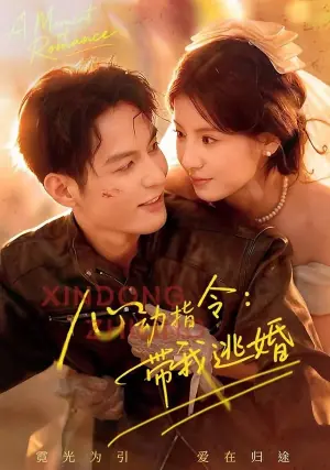 心动指令:带我逃婚海报