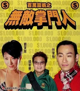 百万富翁之无敌掌门人海报