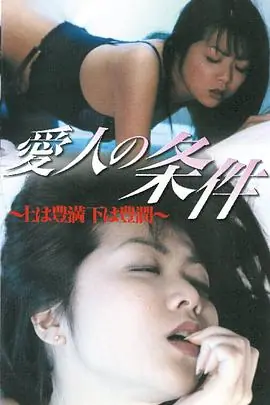 爱人的条件愛人の条件海报
