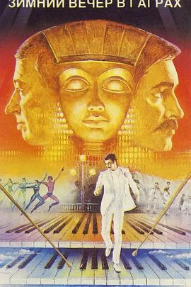 怀恋的冬夜海报