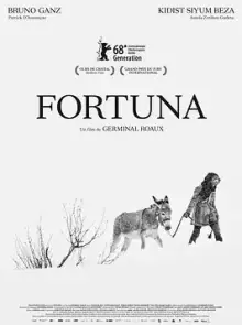 芙朵娜的眼泪海报