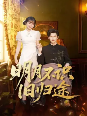 明月不识旧归途海报
