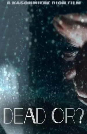 是死亡,还是?海报