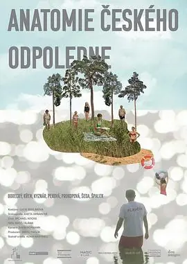 捷克午后的剖析海报