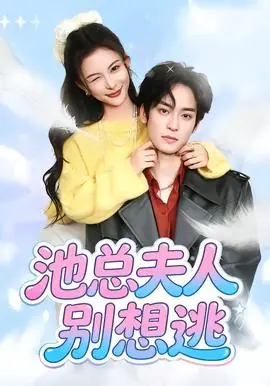 池总夫人别想逃海报