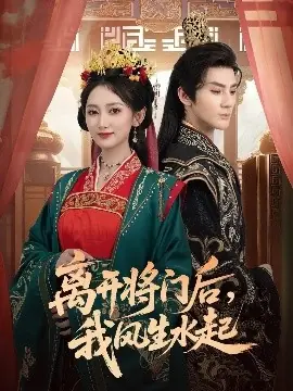 离开将门后,我风生水起海报
