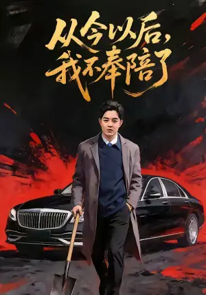 从今以后,我不奉陪了海报