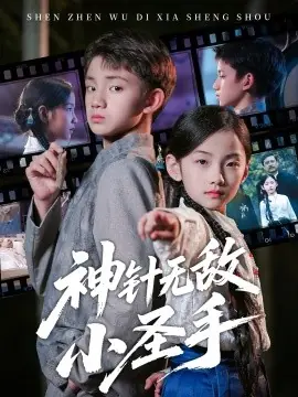 神针无敌小圣手海报