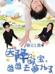 天降萌宝,爸爸去哪儿了海报