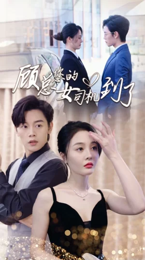 顾总您的女司机到了海报