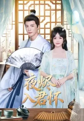 夜烬入君怀海报