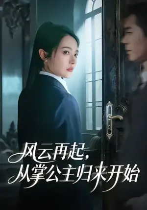 风云再起,从掌公主归来开始海报