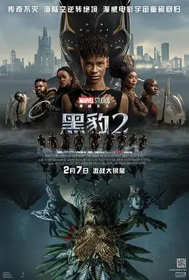 黑豹2(国语)海报